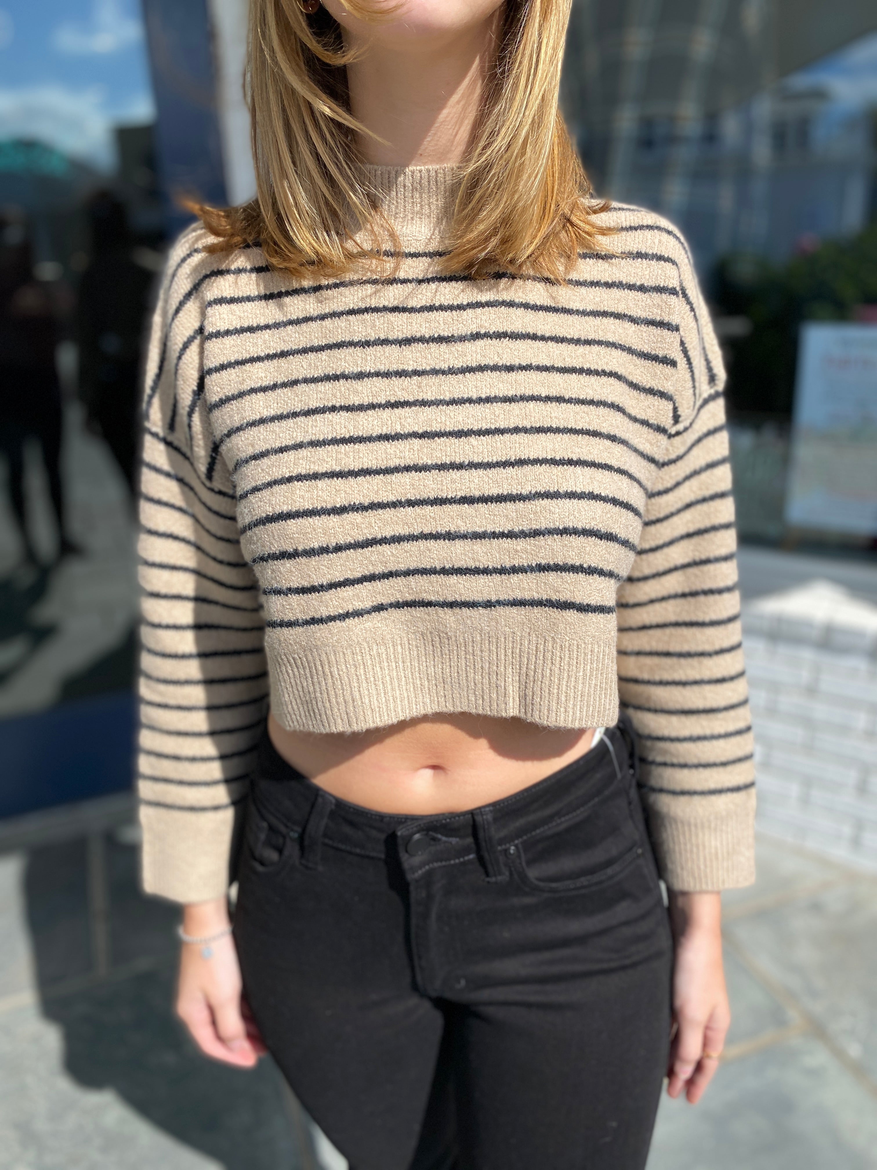 Cozy Chic Crop Sweater